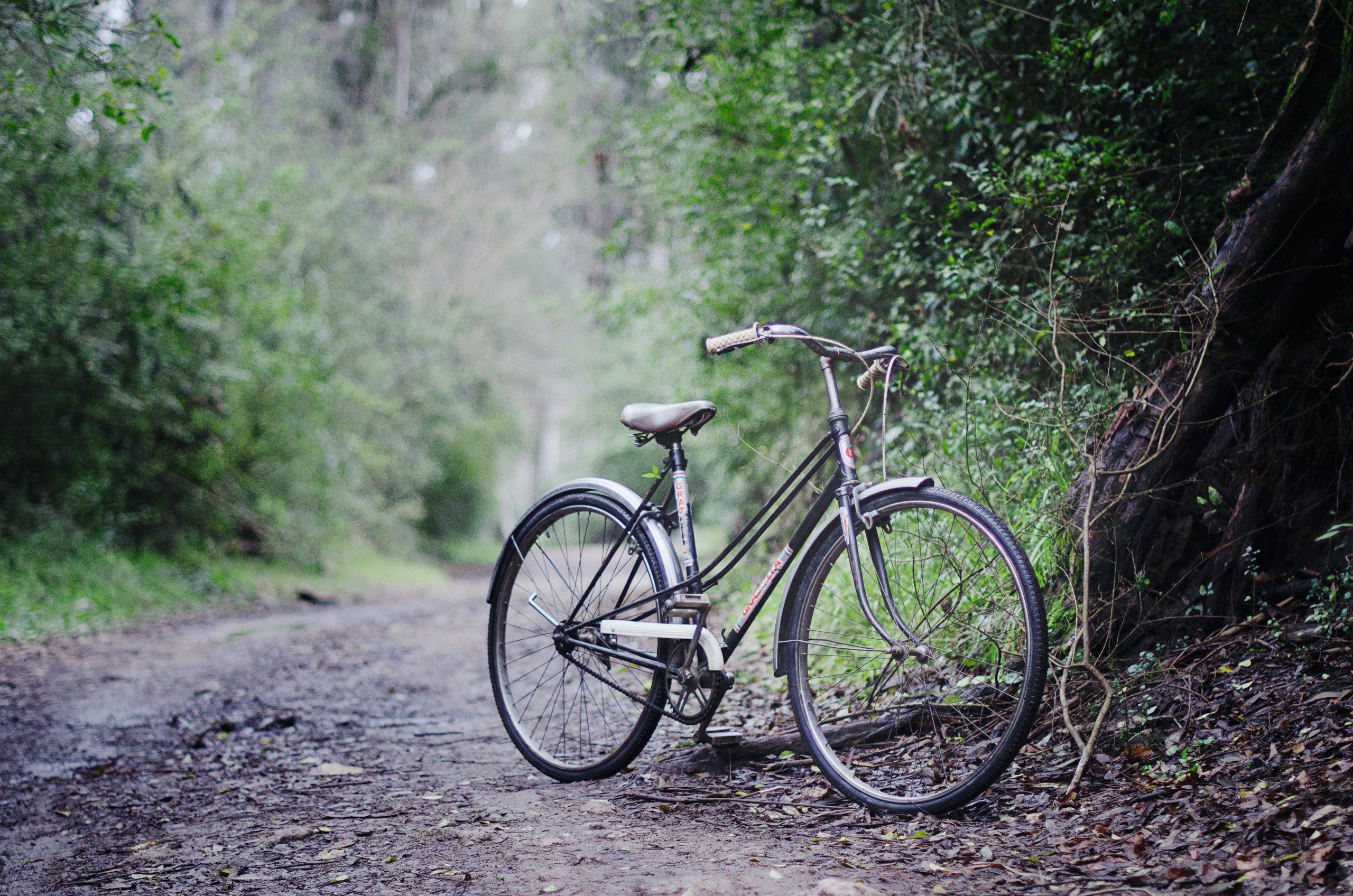 vélo dans la nature