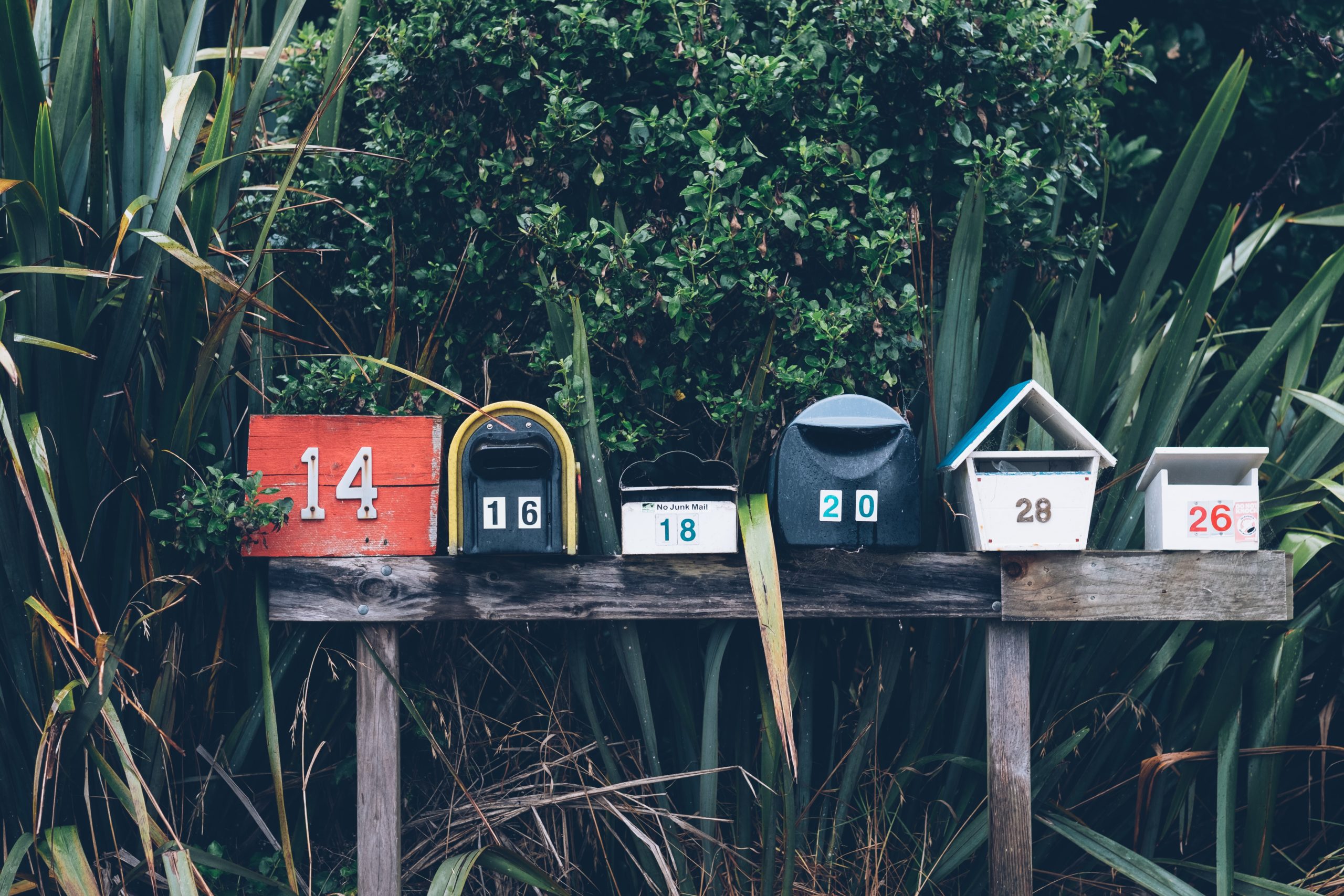 mailbox, newsletter